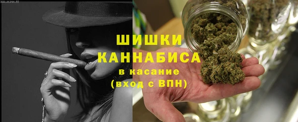 молекула духа Богданович