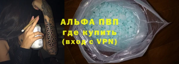 молекула духа Богданович