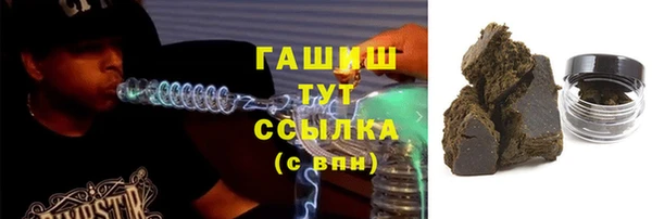 молекула духа Богданович
