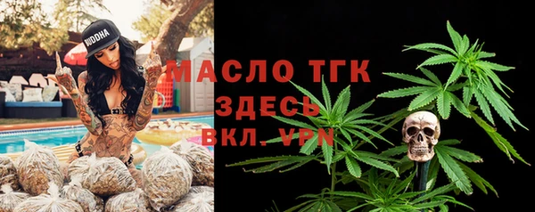 молекула духа Богданович