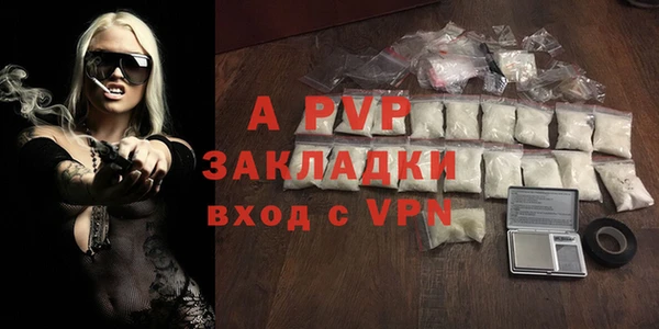 молекула духа Богданович