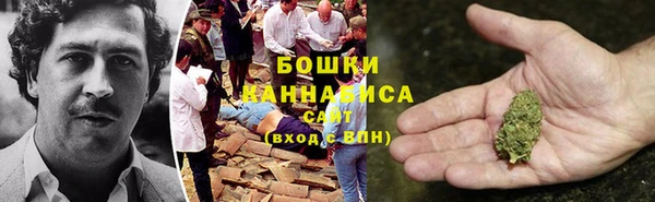 молекула духа Богданович