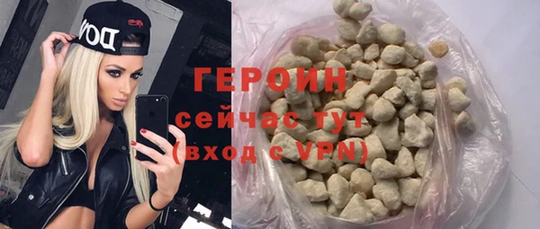 молекула духа Богданович