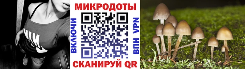 Псилоцибиновые грибы мицелий нарко площадка формула Медногорск