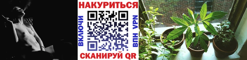Шишки марихуана конопля  где купить наркоту  Медногорск 